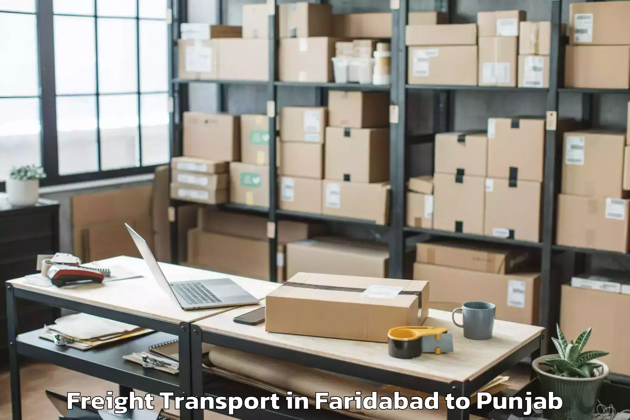 Top Faridabad to Ansal Plaza Mall Ludhiana Freight Transport Available